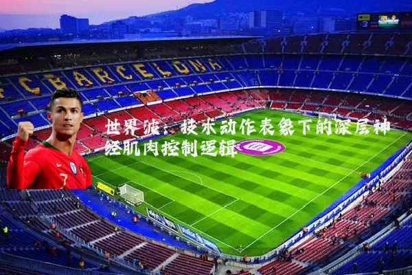 世界波：技术动作表象下的深层神经肌肉控制逻辑