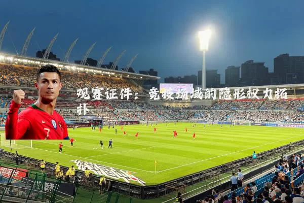 观赛证件:竞技场域的隐形权力拓扑